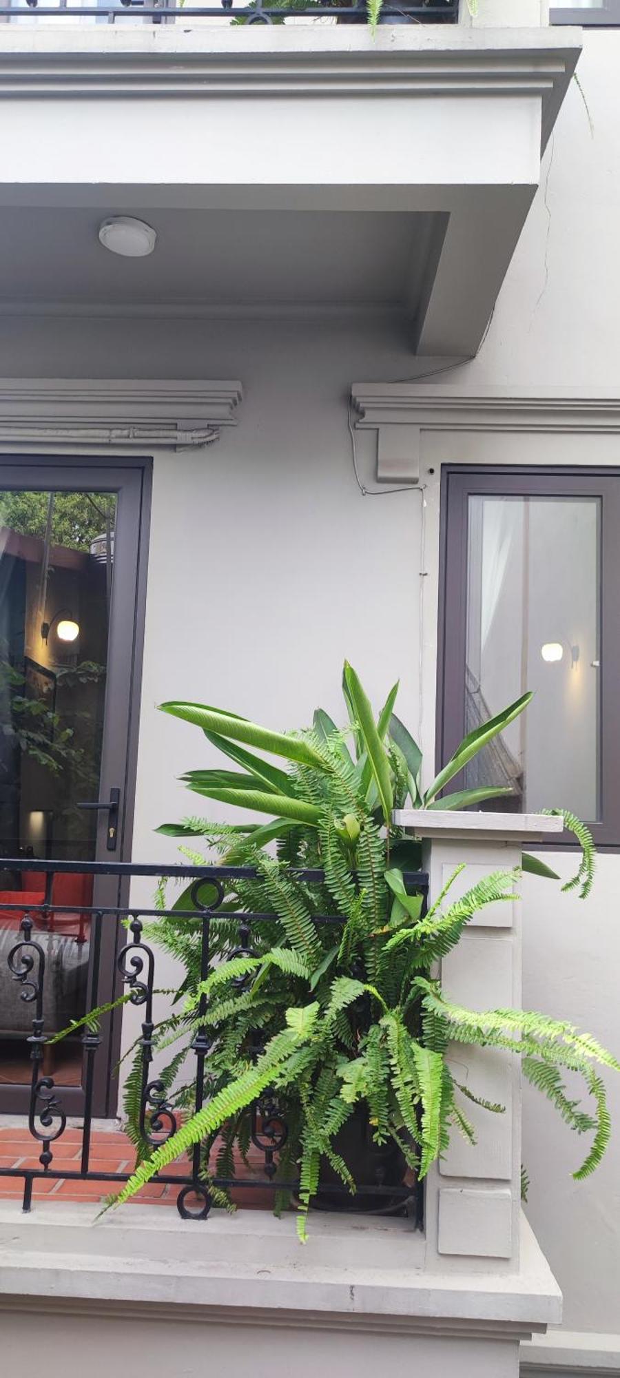 T Home Balcony Homestay Hanói Exterior foto