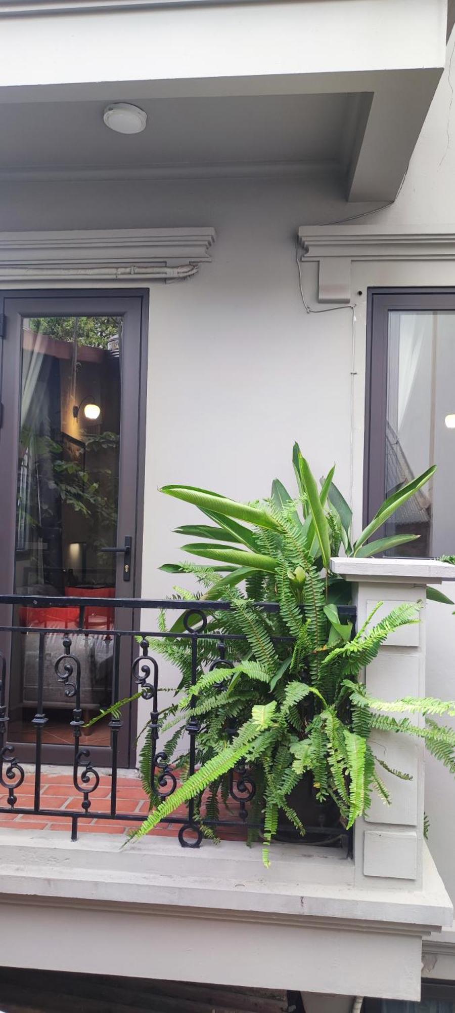 T Home Balcony Homestay Hanói Exterior foto